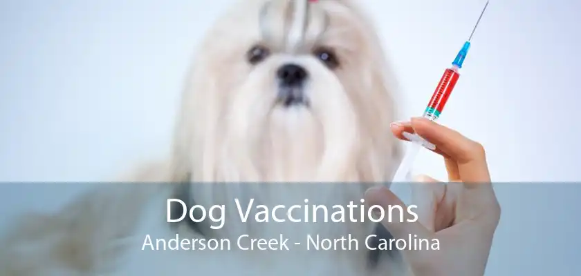Dog Vaccinations Anderson Creek - North Carolina