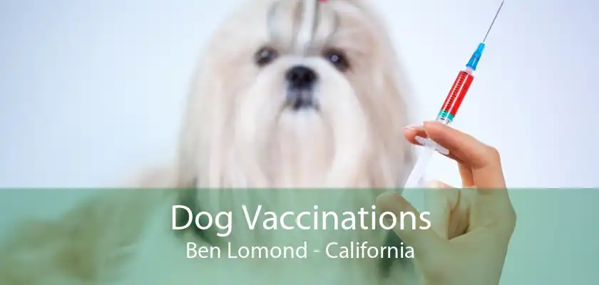 Dog Vaccinations Ben Lomond - California