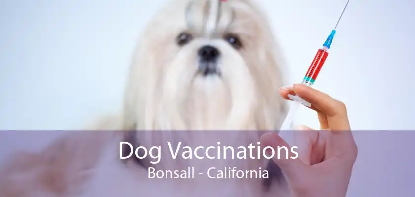 Dog Vaccinations Bonsall - California