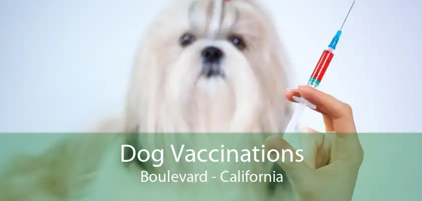 Dog Vaccinations Boulevard - California