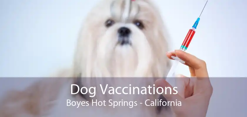 Dog Vaccinations Boyes Hot Springs - California