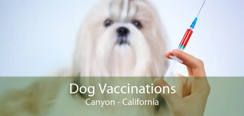 Dog Vaccinations Canyon - California