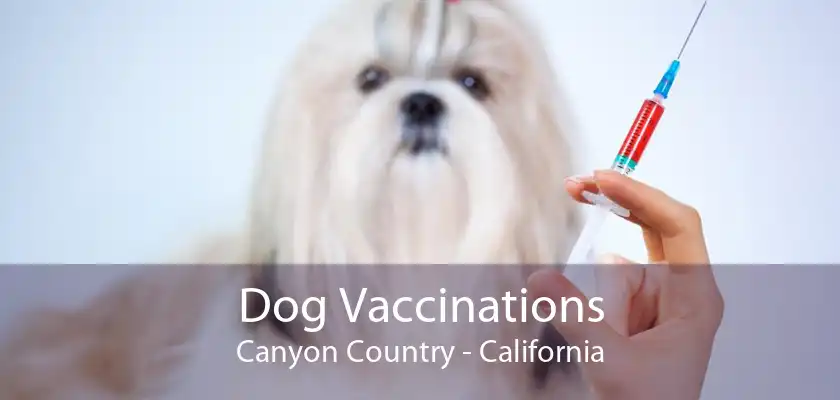 Dog Vaccinations Canyon Country - California