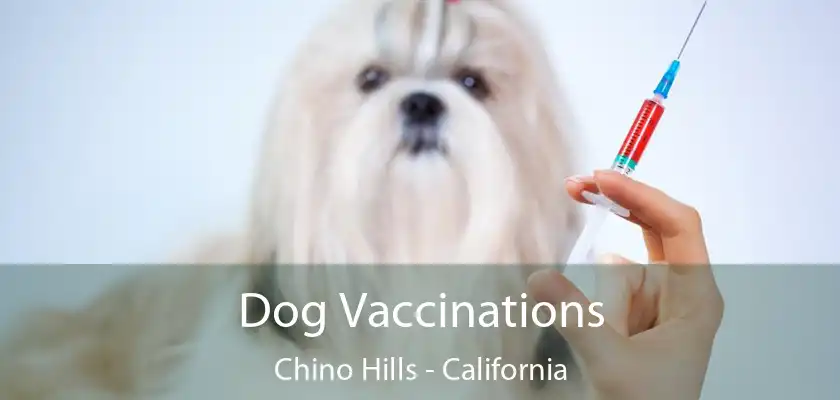 Dog Vaccinations Chino Hills - California