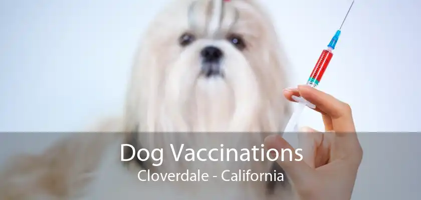 Dog Vaccinations Cloverdale - California