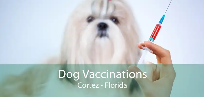 Dog Vaccinations Cortez - Florida