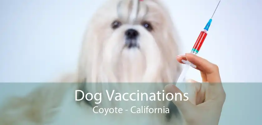 Dog Vaccinations Coyote - California