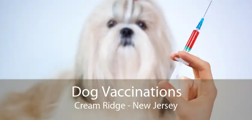 Dog Vaccinations Cream Ridge - New Jersey