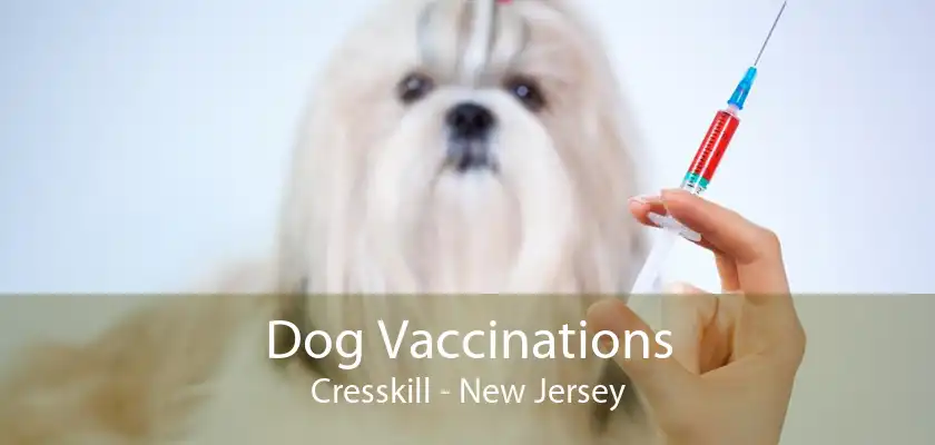 Dog Vaccinations Cresskill - New Jersey