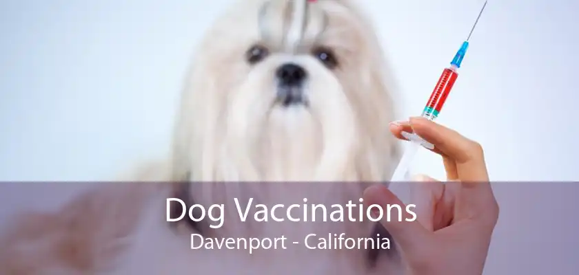 Dog Vaccinations Davenport - California