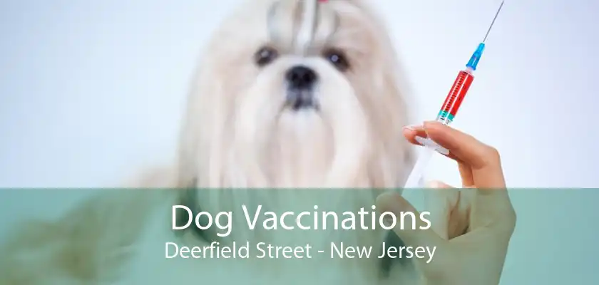 Dog Vaccinations Deerfield Street - New Jersey
