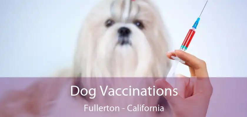 Dog Vaccinations Fullerton - California