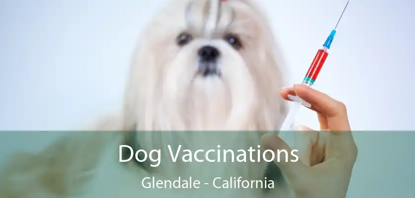 Dog Vaccinations Glendale - California