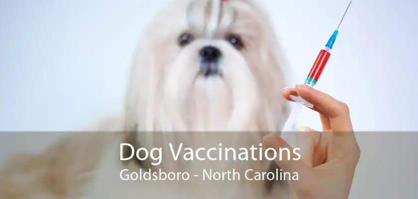 Dog Vaccinations Goldsboro - North Carolina