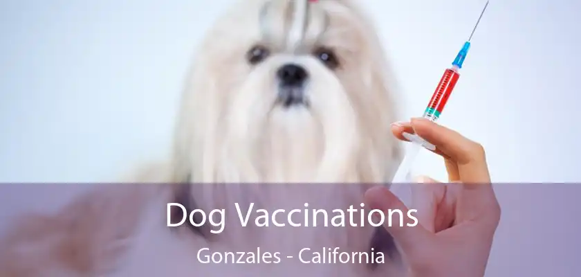 Dog Vaccinations Gonzales - California