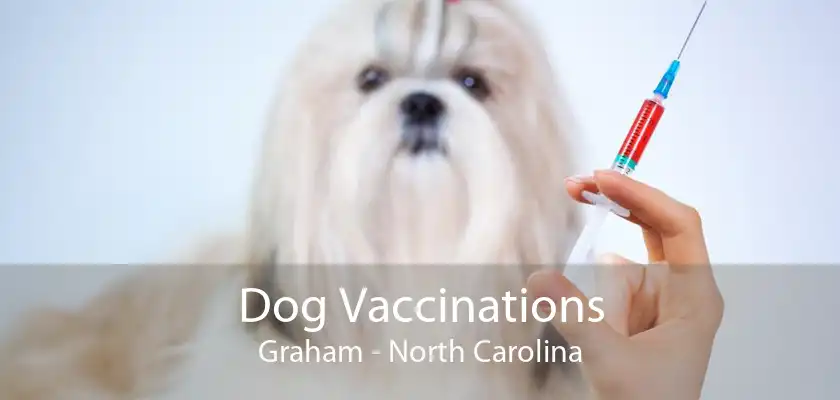 Dog Vaccinations Graham - North Carolina