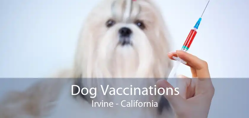 Dog Vaccinations Irvine - California