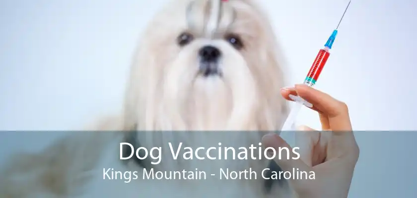 Dog Vaccinations Kings Mountain - North Carolina