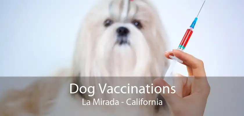 Dog Vaccinations La Mirada - California