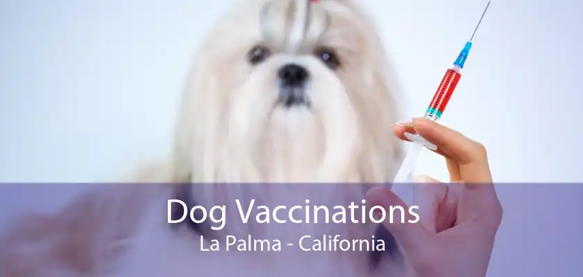 Dog Vaccinations La Palma - California