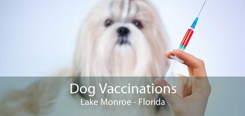 Dog Vaccinations Lake Monroe - Florida