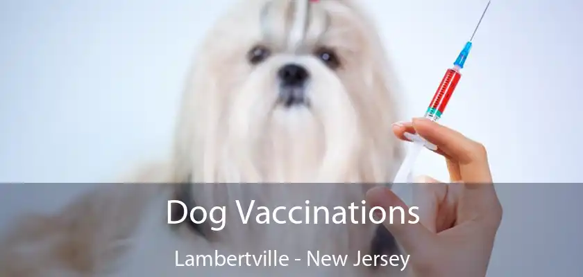 Dog Vaccinations Lambertville - New Jersey