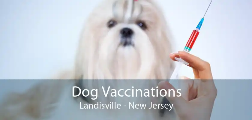 Dog Vaccinations Landisville - New Jersey