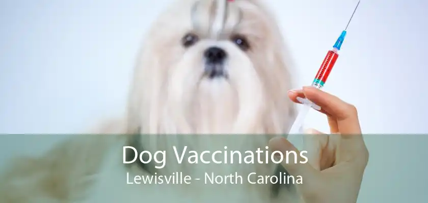 Dog Vaccinations Lewisville - North Carolina