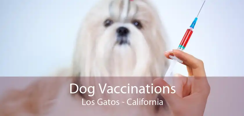 Dog Vaccinations Los Gatos - California