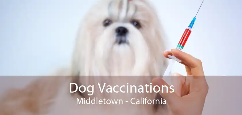 Dog Vaccinations Middletown - California
