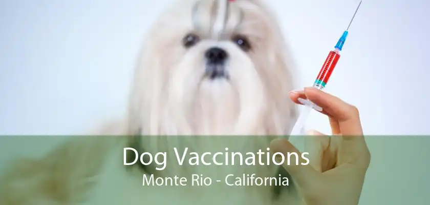 Dog Vaccinations Monte Rio - California