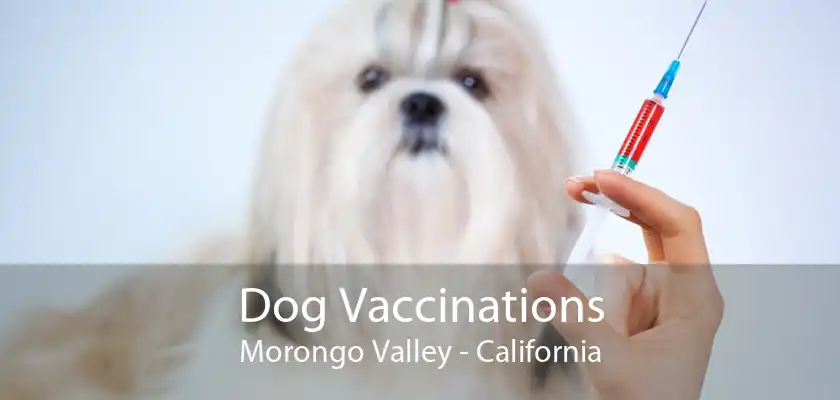 Dog Vaccinations Morongo Valley - California