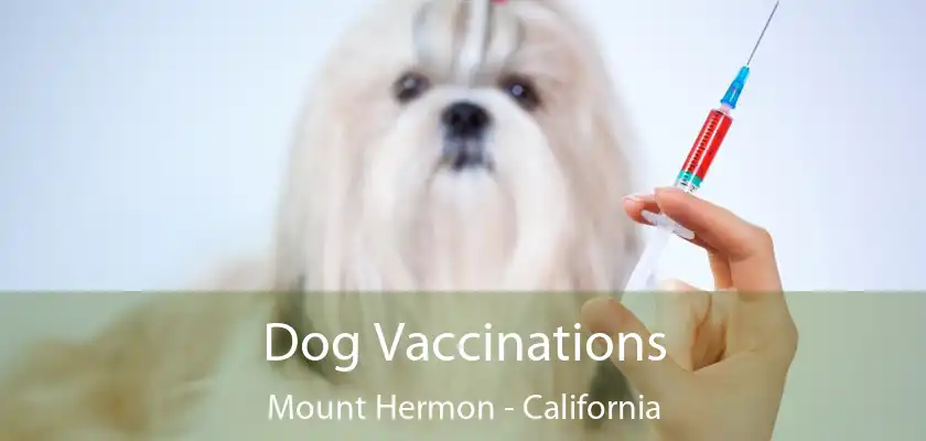 Dog Vaccinations Mount Hermon - California