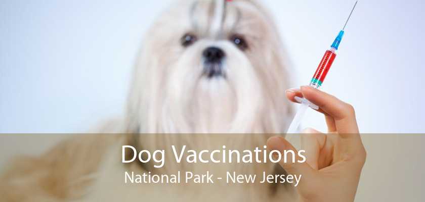 Dog Vaccinations National Park - New Jersey