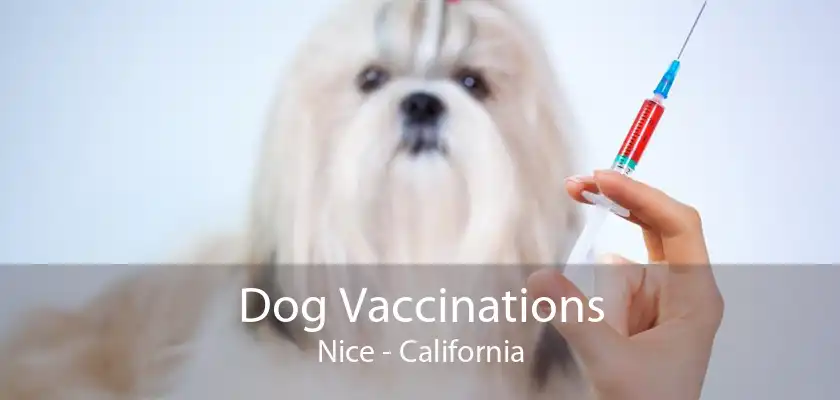 Dog Vaccinations Nice - California
