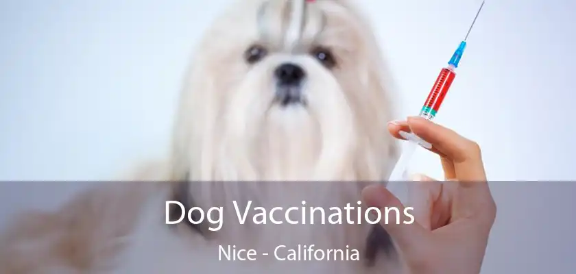 Dog Vaccinations Nice - California