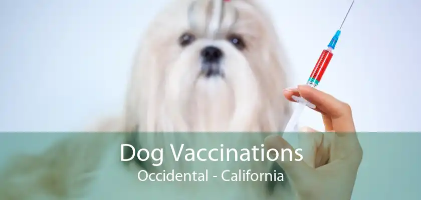 Dog Vaccinations Occidental - California