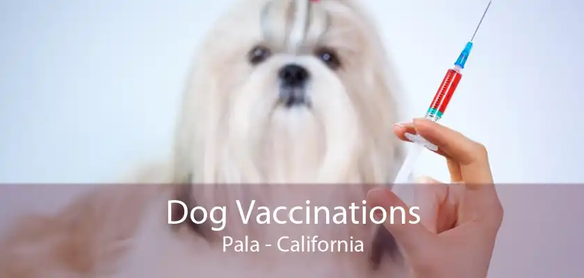 Dog Vaccinations Pala - California