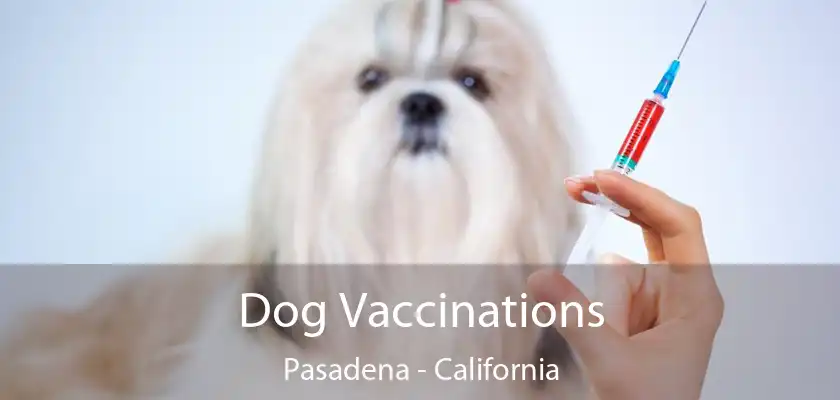 Dog Vaccinations Pasadena - California