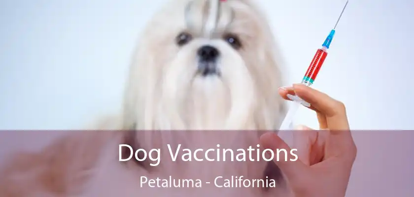 Dog Vaccinations Petaluma - California