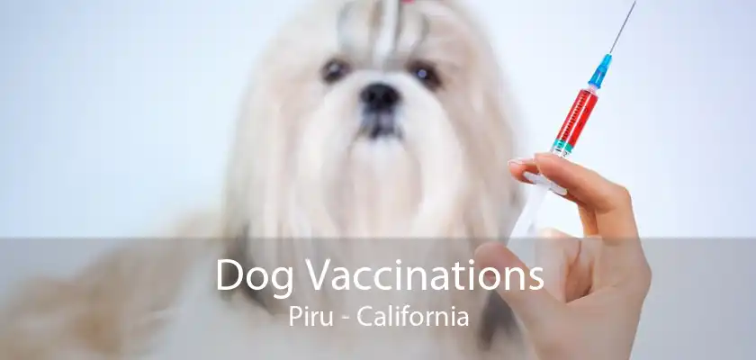 Dog Vaccinations Piru - California