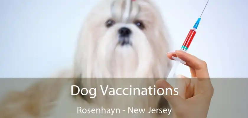 Dog Vaccinations Rosenhayn - New Jersey
