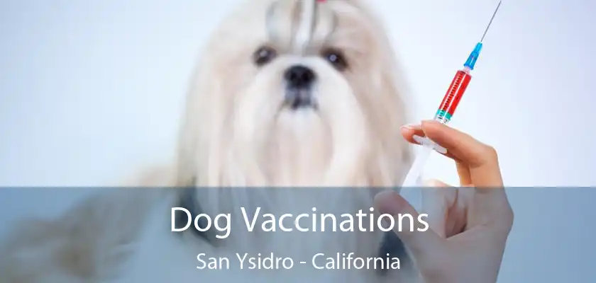 Dog Vaccinations San Ysidro - California