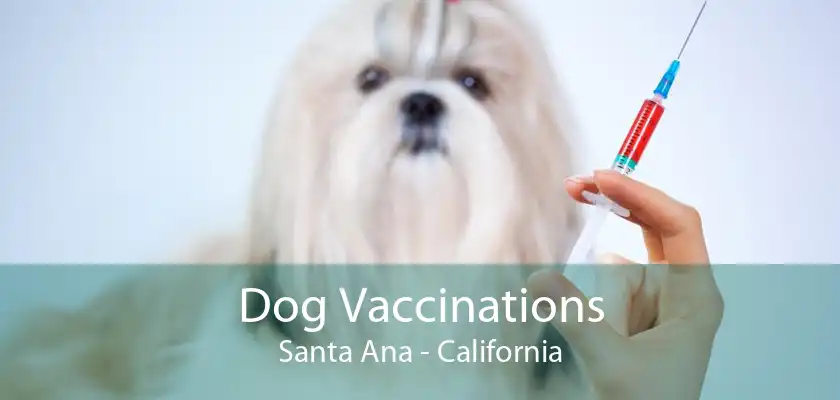 Dog Vaccinations Santa Ana - California