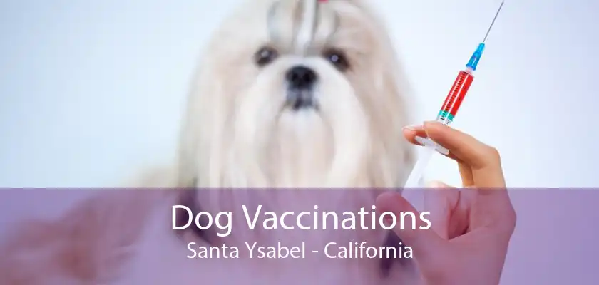 Dog Vaccinations Santa Ysabel - California