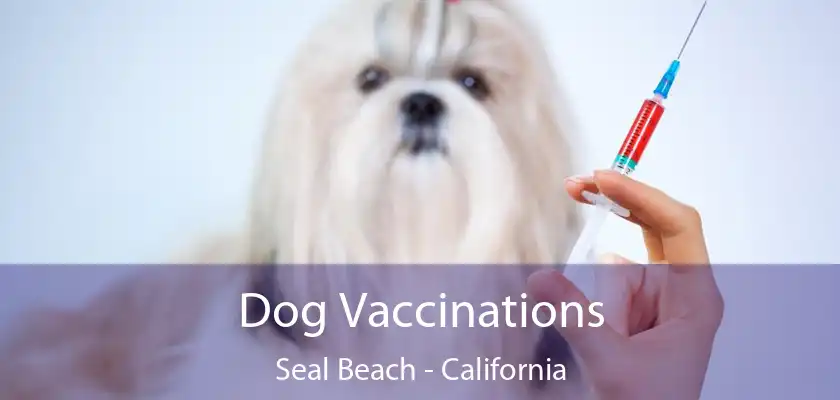 Dog Vaccinations Seal Beach - California