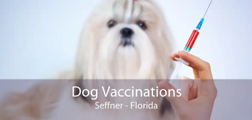 Dog Vaccinations Seffner - Florida