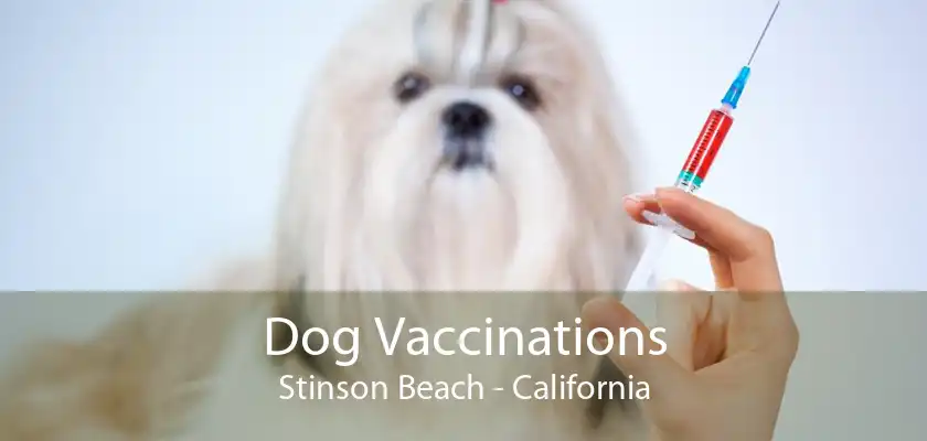 Dog Vaccinations Stinson Beach - California