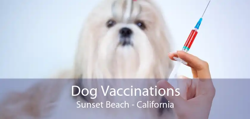 Dog Vaccinations Sunset Beach - California