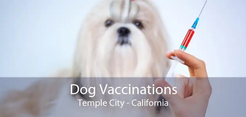 Dog Vaccinations Temple City - California